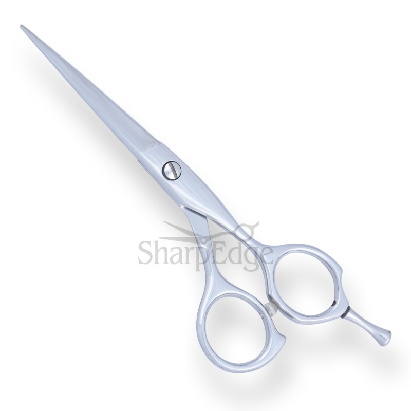 Professional Hair Dressing Scissors 